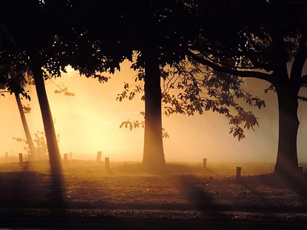 फेब्रुवारी २०२६ महिना हवामानातील मोठ्या बदलांचा साक्षीदार ठरणार आहे.